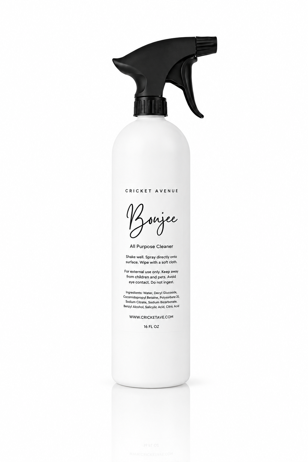 All Purpose Cleaner